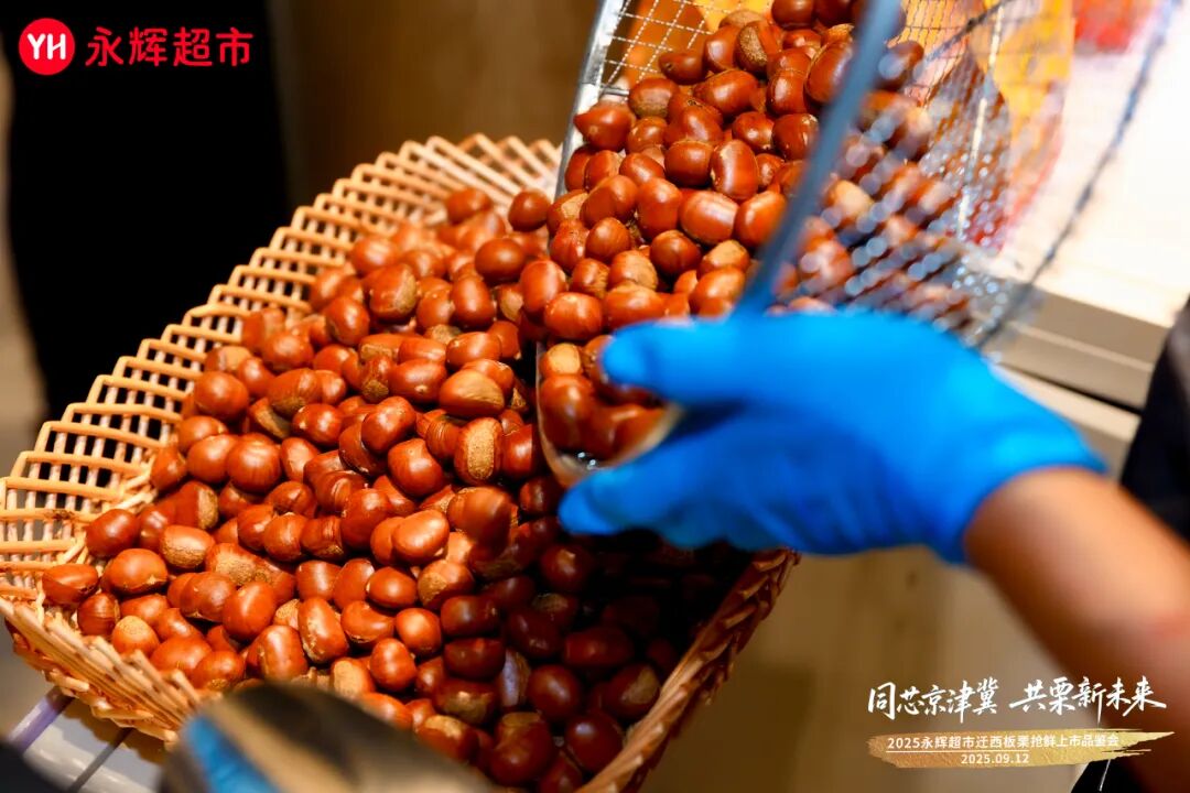 6731顶级游戏·(中国区)官方网站