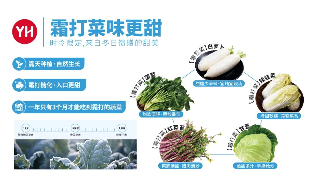 6731顶级游戏·(中国区)官方网站