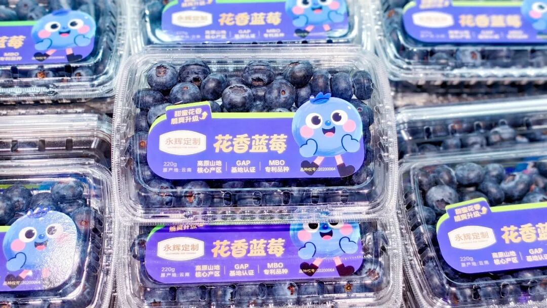 6731顶级游戏·(中国区)官方网站