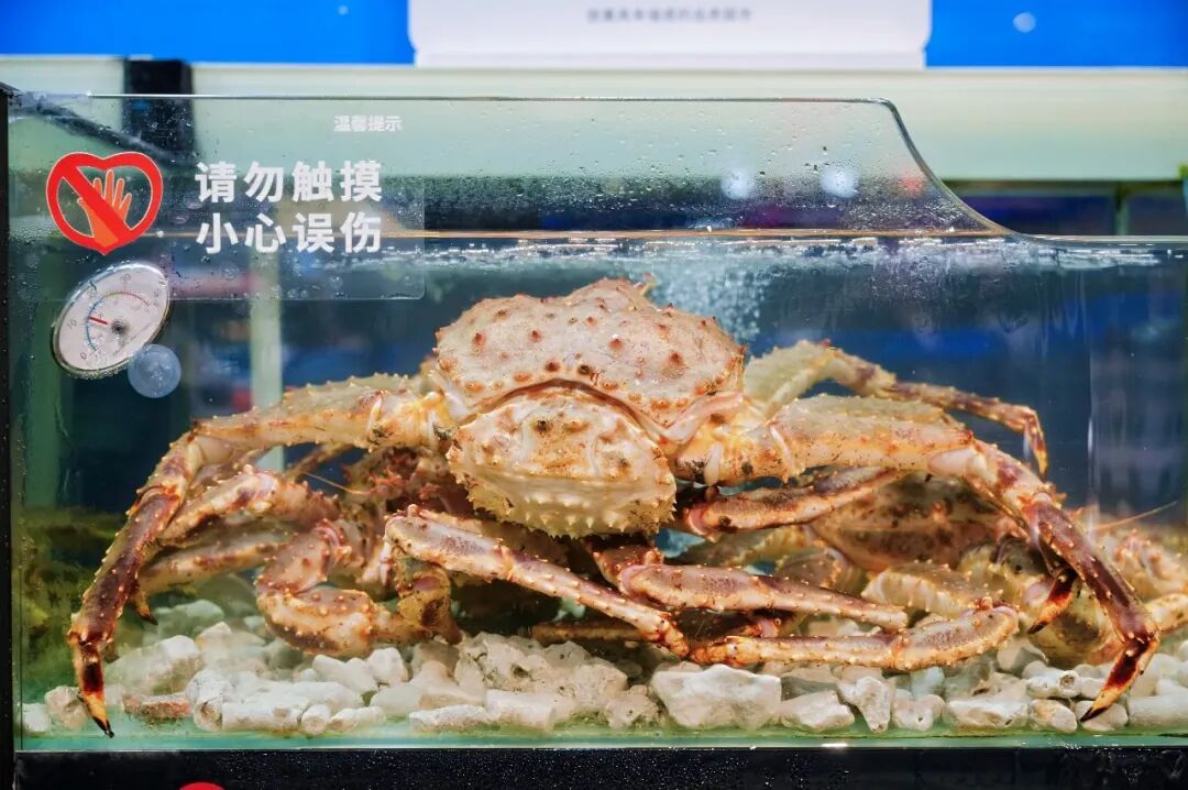 6731顶级游戏·(中国区)官方网站