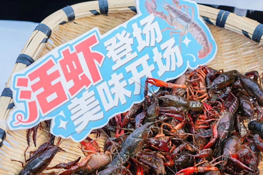6731顶级游戏·(中国区)官方网站