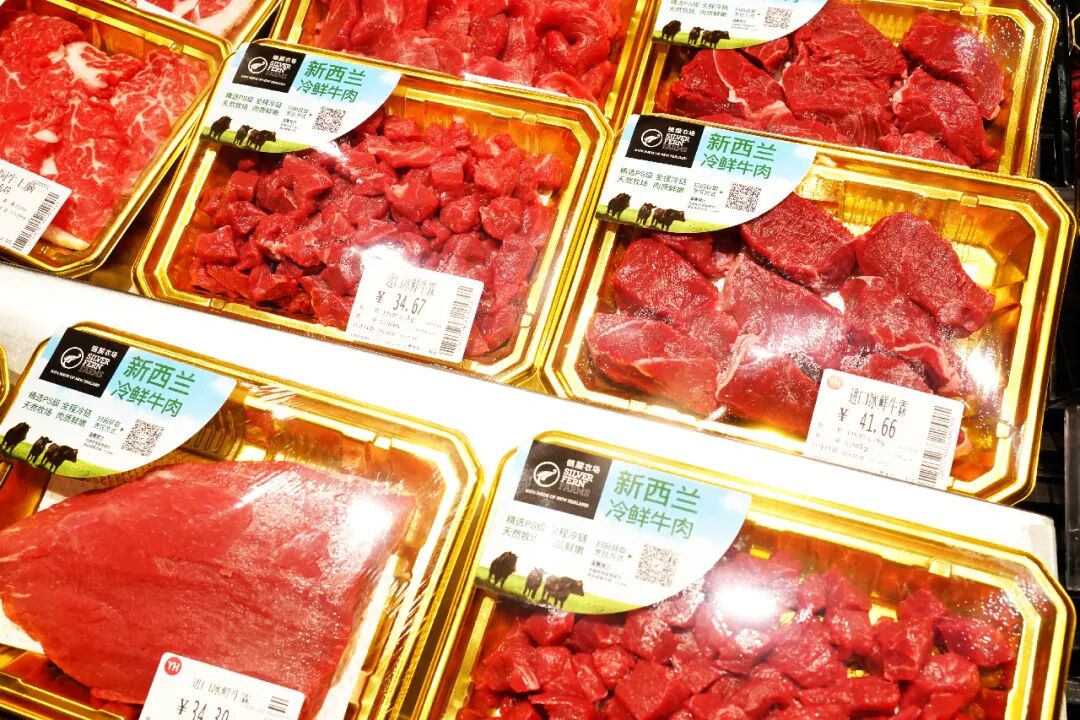 6731顶级游戏·(中国区)官方网站