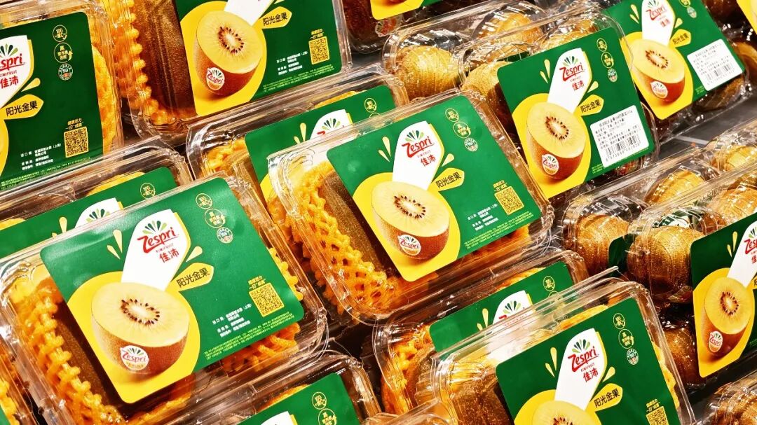 6731顶级游戏·(中国区)官方网站