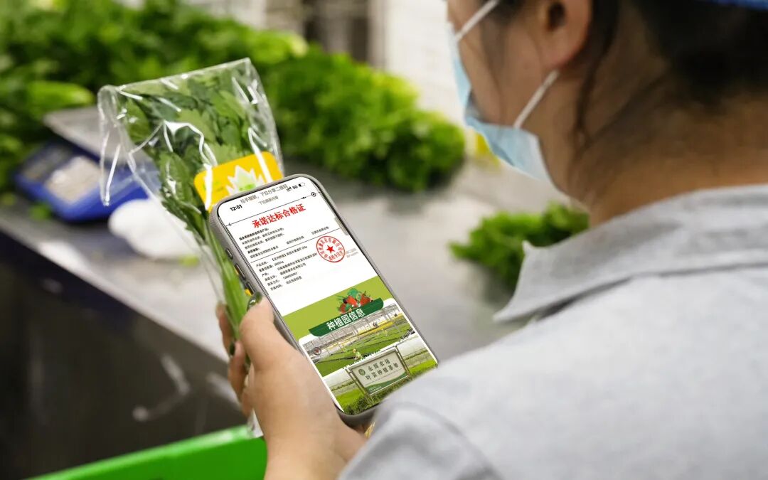 6731顶级游戏·(中国区)官方网站