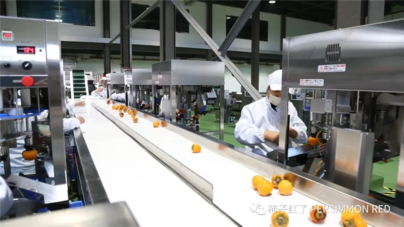 6731顶级游戏·(中国区)官方网站