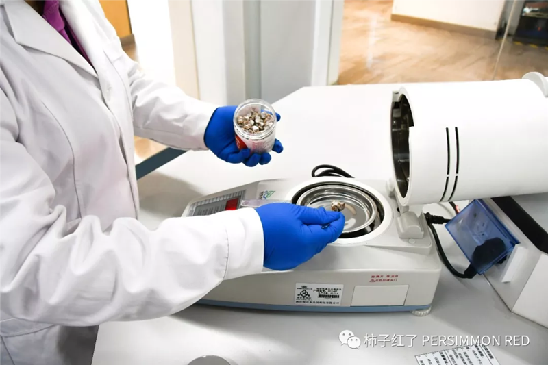 6731顶级游戏·(中国区)官方网站