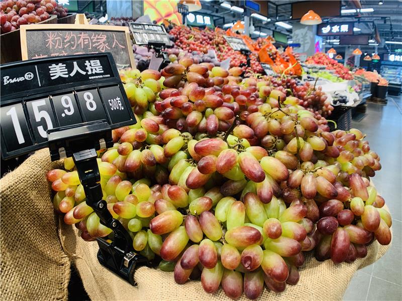 6731顶级游戏·(中国区)官方网站