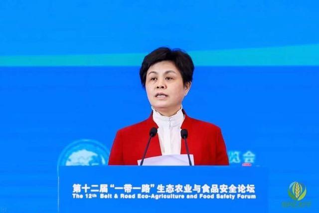 6731顶级游戏·(中国区)官方网站