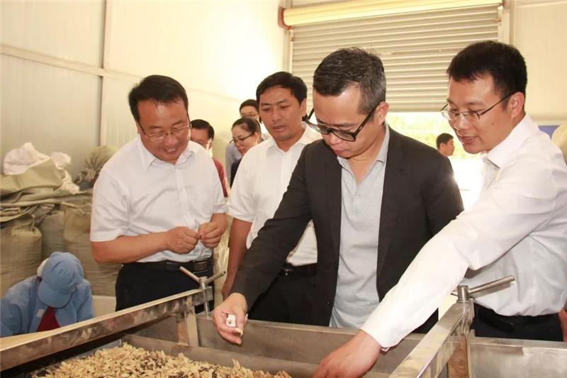 6731顶级游戏·(中国区)官方网站