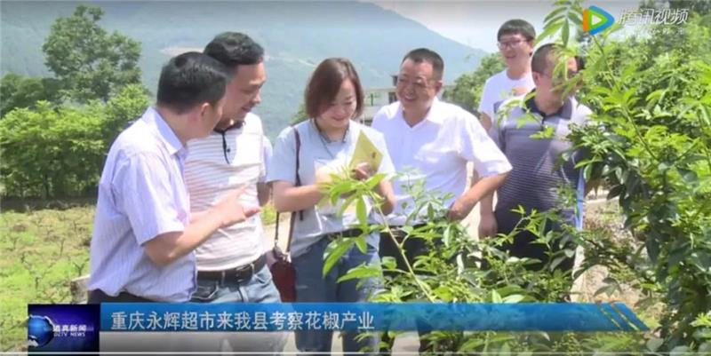6731顶级游戏·(中国区)官方网站