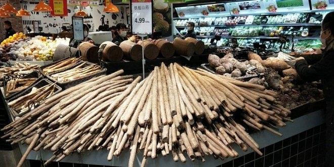 6731顶级游戏·(中国区)官方网站
