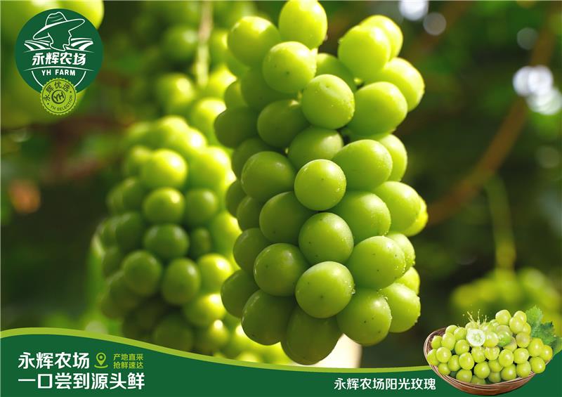 6731顶级游戏·(中国区)官方网站