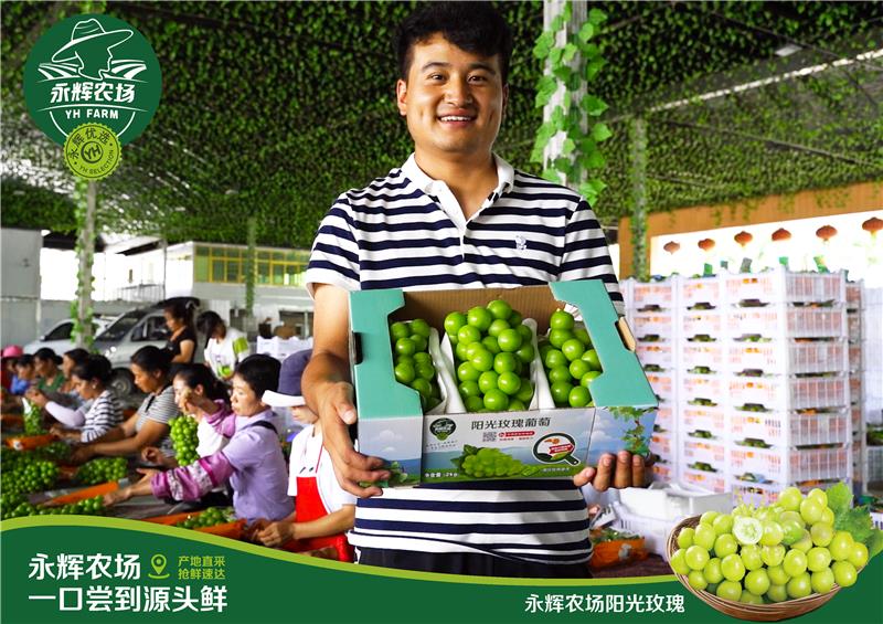 6731顶级游戏·(中国区)官方网站