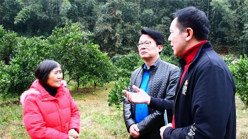 6731顶级游戏·(中国区)官方网站