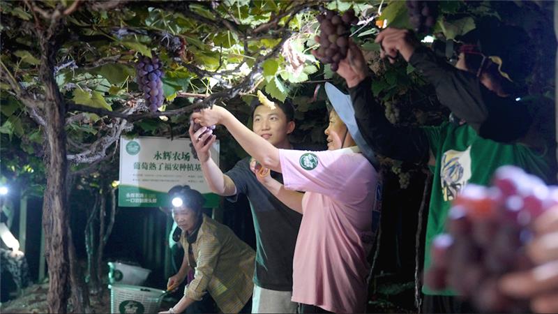6731顶级游戏·(中国区)官方网站