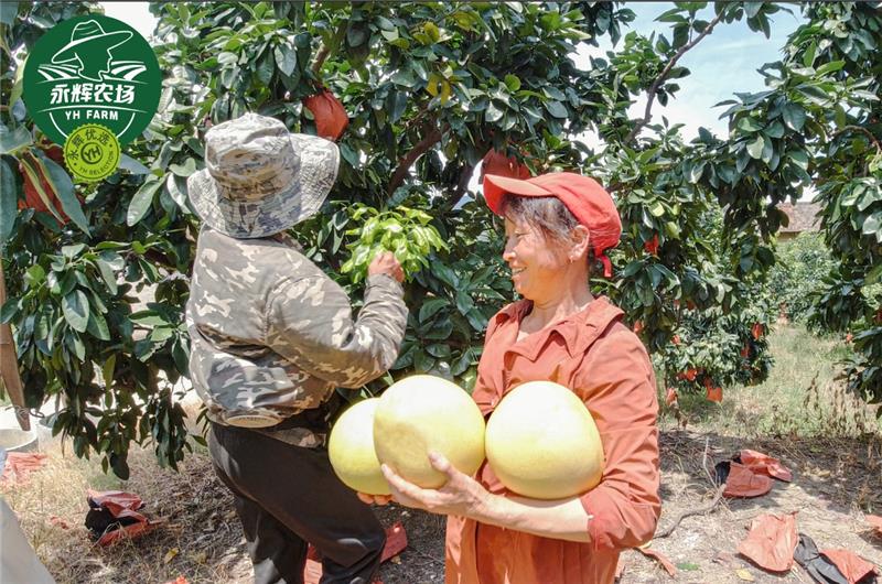 6731顶级游戏·(中国区)官方网站