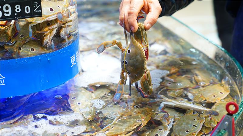 6731顶级游戏·(中国区)官方网站