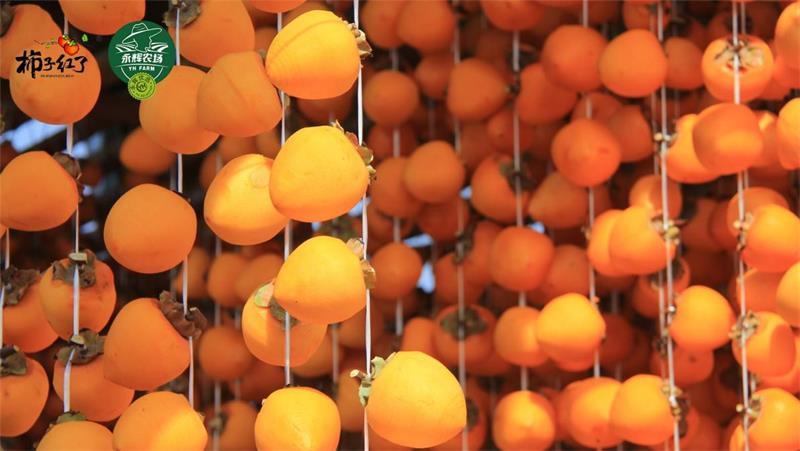 6731顶级游戏·(中国区)官方网站