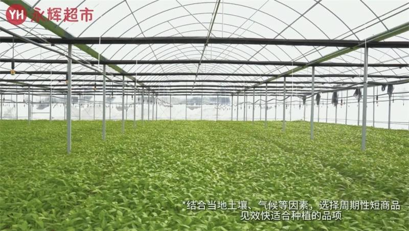 6731顶级游戏·(中国区)官方网站