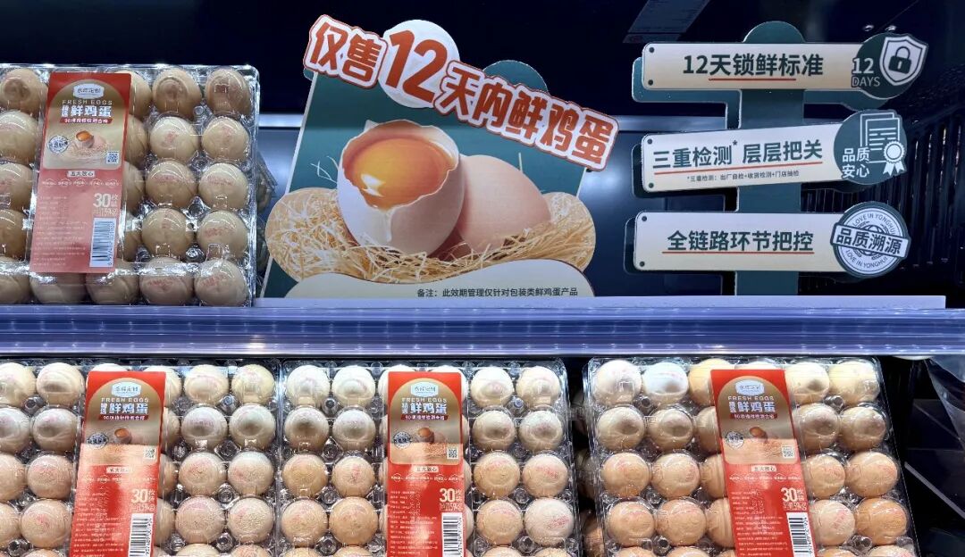 6731顶级游戏·(中国区)官方网站